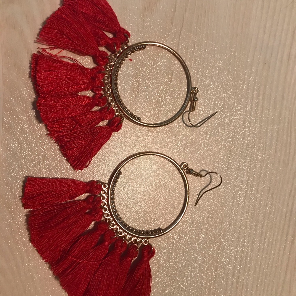 New in pack beautiful tassel earrings.